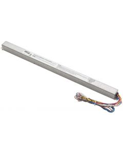 Lithonia Lighting PSL600 M10 Battery Pack, Gray